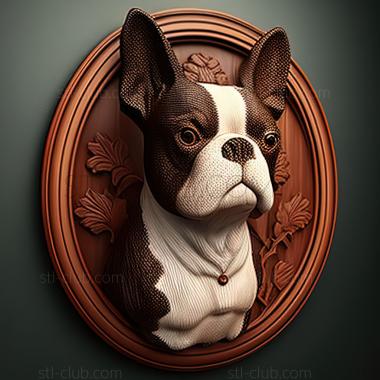 3D model st Boston Terrier dog (STL)